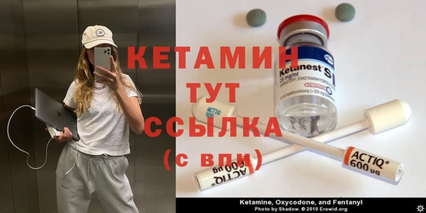 ПСИЛОЦИБИНОВЫЕ ГРИБЫ Белокуриха