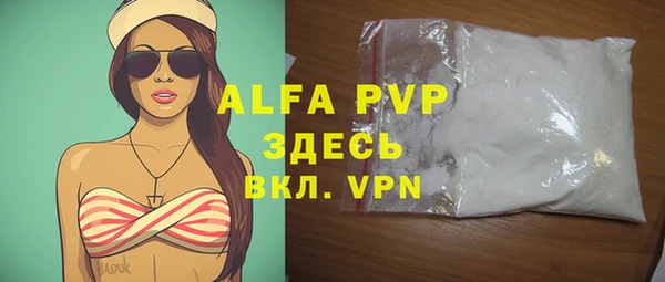 гидра Весьегонск