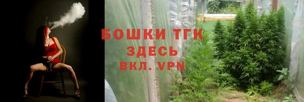 ПСИЛОЦИБИНОВЫЕ ГРИБЫ Белокуриха