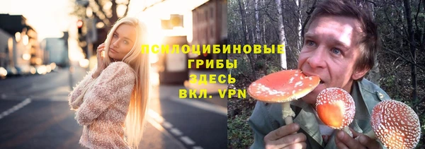 хмурый Балабаново
