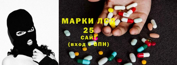 ПСИЛОЦИБИНОВЫЕ ГРИБЫ Белокуриха